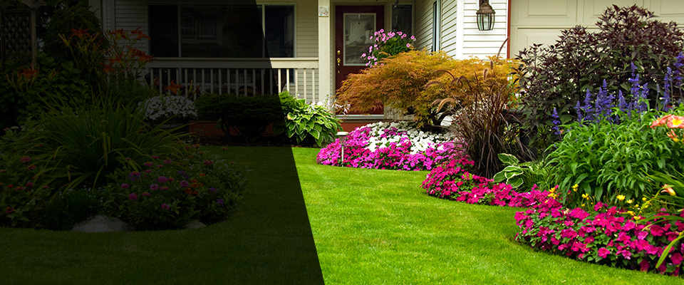 Pine Island Landscapers
