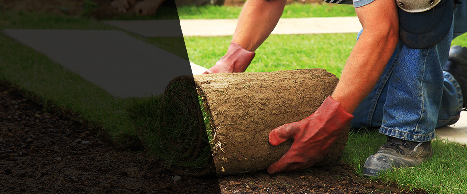 Pine Island Landscapers